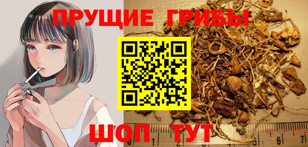 Нижнеудинск  Псилоцибиновые грибы мухоморы  Вход с VPN 